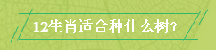 中國沈酒集團.png